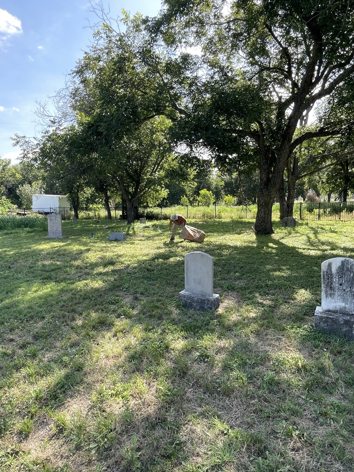 A volunteer works among headstones beneath tall cedar and pecan trees.