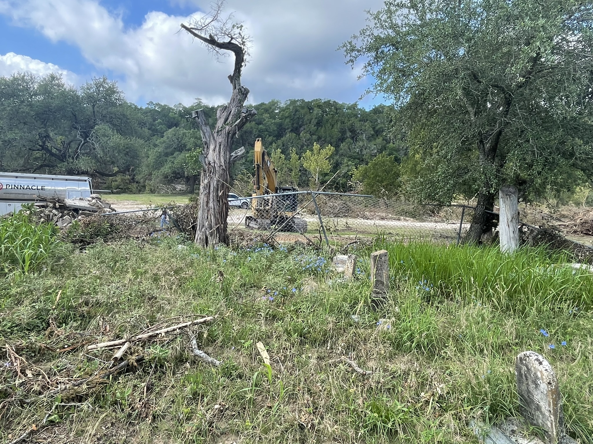 More flood damage: dead trees and debris scattered across the landscape